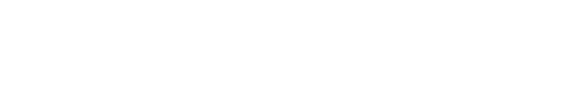 Partner 2